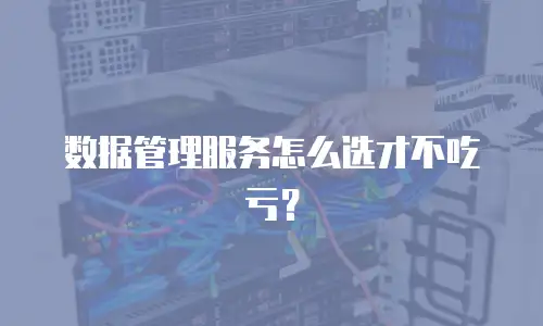 数据管理服务怎么选才不吃亏？