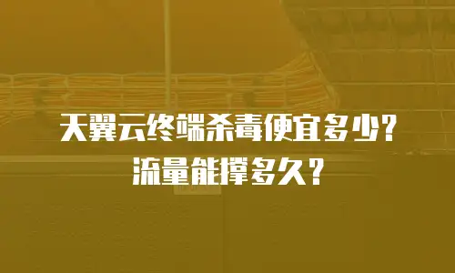 天翼云终端杀毒便宜多少？流量能撑多久？