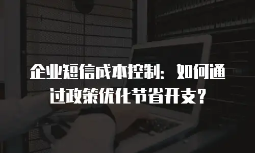 企业短信成本控制：如何通过政策优化节省开支？