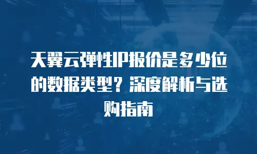 天翼云弹性IP报价是多少位的数据类型？深度解析与选购指南