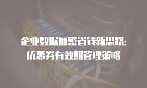 企业数据加密省钱新思路：优惠券有效期管理策略