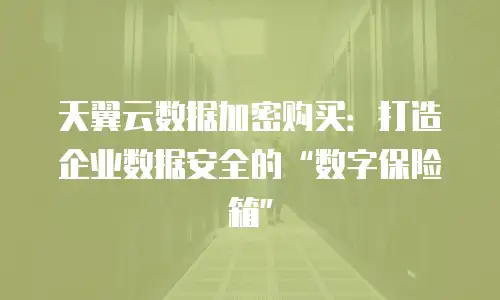 天翼云数据加密购买：打造企业数据安全的&ldquo;数字保险箱&rdquo;
