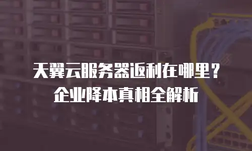 天翼云服务器返利在哪里？企业降本真相全解析