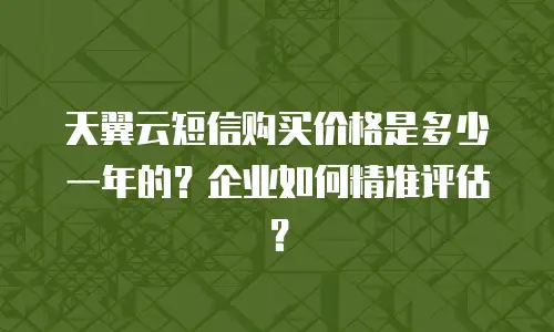 天翼云短信购买价格是多少一年的？企业如何精准评估？