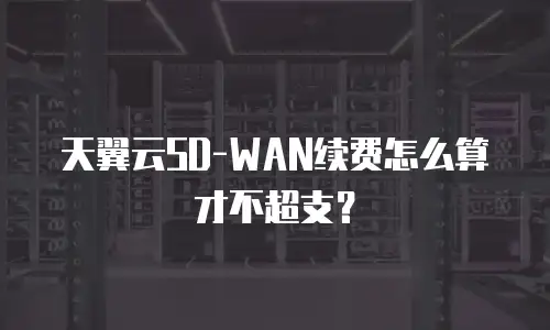 天翼云SD-WAN续费怎么算才不超支？