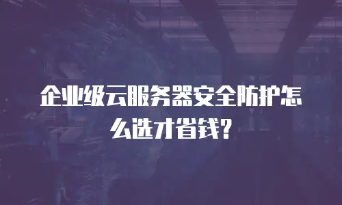企业级云服务器安全防护怎么选才省钱？