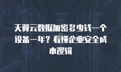 天翼云数据加密多少钱一个设备一年？看懂企业安全成本逻辑