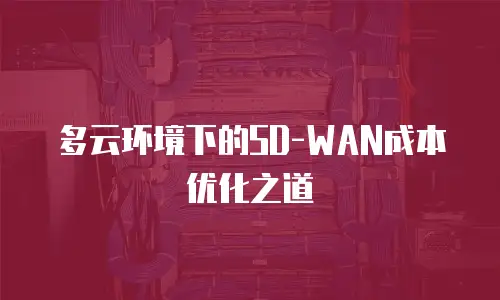 多云环境下的SD-WAN成本优化之道