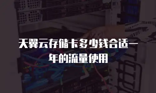 天翼云存储卡多少钱合适一年的流量使用