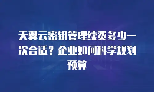 天翼云密钥管理续费多少一次合适？企业如何科学规划预算