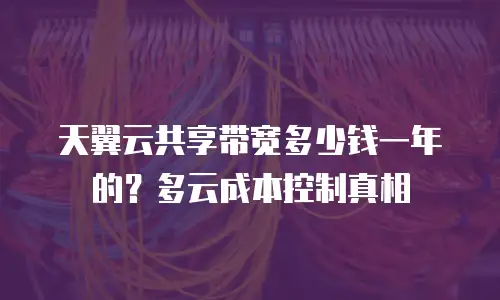 天翼云共享带宽多少钱一年的？多云成本控制真相