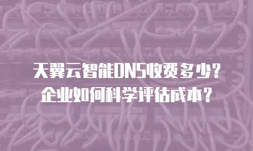 天翼云智能DNS收费多少？企业如何科学评估成本？
