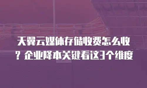 天翼云媒体存储收费怎么收？企业降本关键看这3个维度