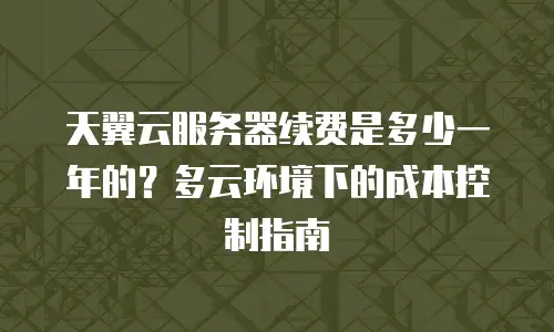 天翼云服务器续费是多少一年的？多云环境下的成本控制指南
