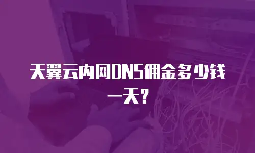 天翼云内网DNS佣金多少钱一天？