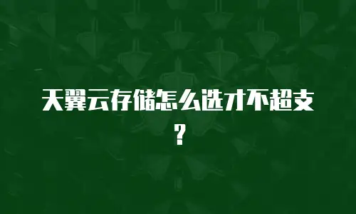 天翼云存储怎么选才不超支？