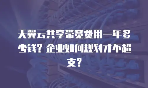 天翼云共享带宽费用一年多少钱？企业如何规划才不超支？