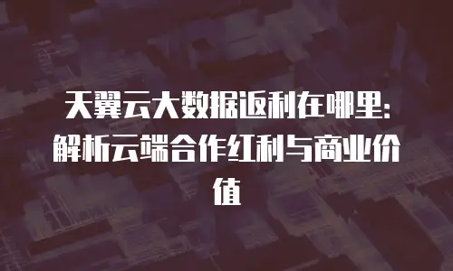 天翼云大数据返利在哪里：解析云端合作红利与商业价值