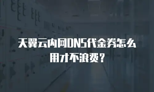天翼云内网DNS代金券怎么用才不浪费？