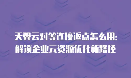 天翼云对等连接返点怎么用：解锁企业云资源优化新路径