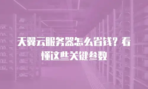天翼云服务器怎么省钱？看懂这些关键参数