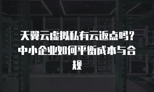 天翼云虚拟私有云返点吗？中小企业如何平衡成本与合规