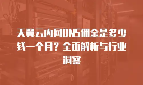 天翼云内网DNS佣金是多少钱一个月？全面解析与行业洞察