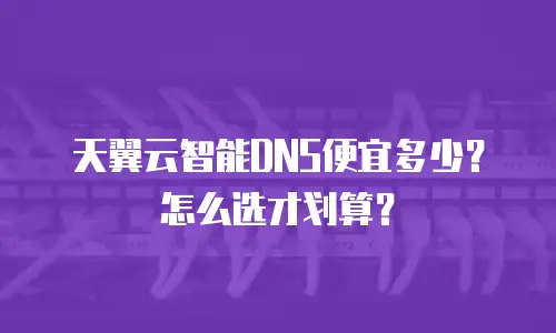 天翼云智能DNS便宜多少？怎么选才划算？