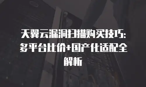 天翼云漏洞扫描购买技巧：多平台比价+国产化适配全解析