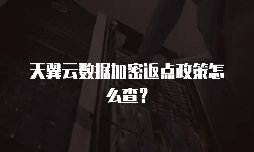 天翼云数据加密返点政策怎么查？