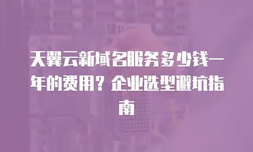 天翼云新域名服务多少钱一年的费用？企业选型避坑指南