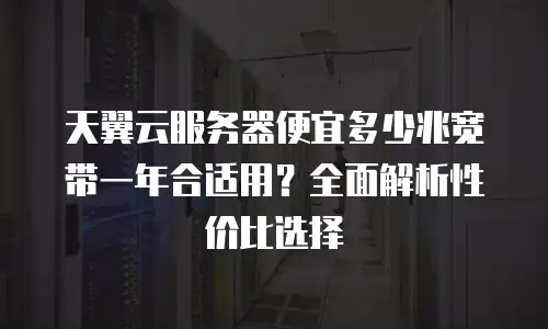 天翼云服务器便宜多少兆宽带一年合适用？全面解析性价比选择