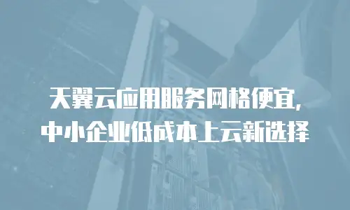 天翼云应用服务网格便宜，中小企业低成本上云新选择