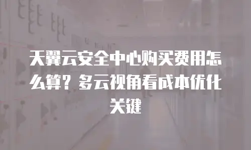 天翼云安全中心购买费用怎么算？多云视角看成本优化关键