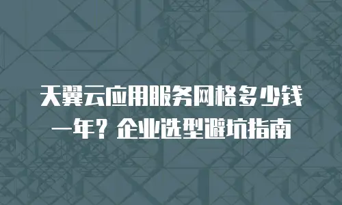 天翼云应用服务网格多少钱一年？企业选型避坑指南