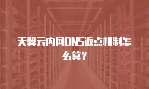 天翼云内网DNS返点机制怎么算？