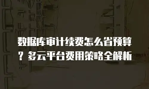 数据库审计续费怎么省预算？多云平台费用策略全解析