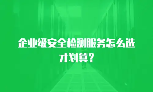 企业级安全检测服务怎么选才划算？