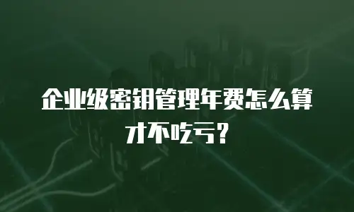 企业级密钥管理年费怎么算才不吃亏？