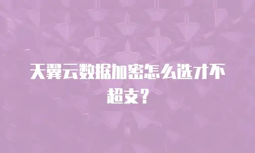 天翼云数据加密怎么选才不超支？