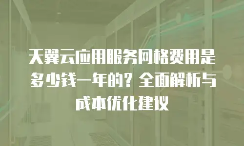 天翼云应用服务网格费用是多少钱一年的？全面解析与成本优化建议