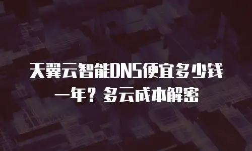 天翼云智能DNS便宜多少钱一年？多云成本解密