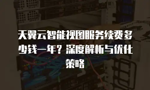 天翼云智能视图服务续费多少钱一年？深度解析与优化策略