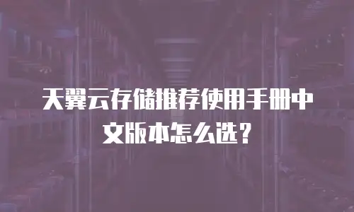 天翼云存储推荐使用手册中文版本怎么选？