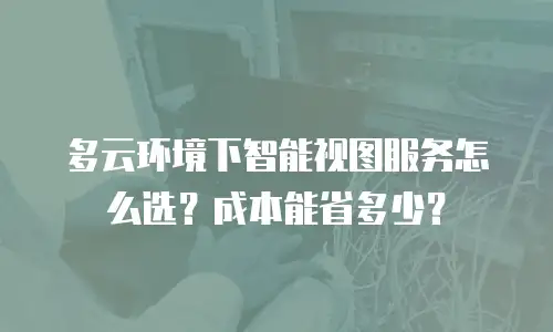 多云环境下智能视图服务怎么选？成本能省多少？