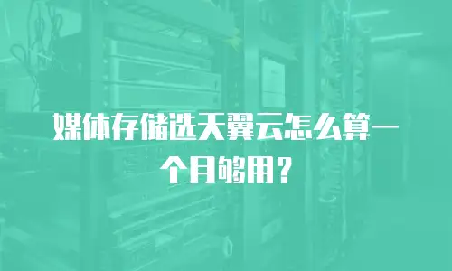 媒体存储选天翼云怎么算一个月够用？