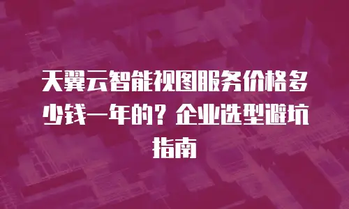 天翼云智能视图服务价格多少钱一年的？企业选型避坑指南