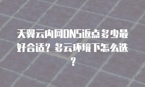 天翼云内网DNS返点多少最好合适？多云环境下怎么选？