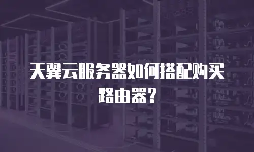天翼云服务器如何搭配购买路由器？
