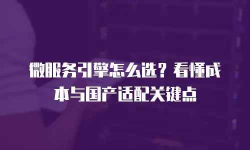 微服务引擎怎么选？看懂成本与国产适配关键点